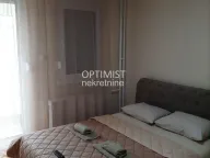 Izdavanje, dvosoban stan, 53m², Novi Beograd Sve Podlokacije, Beograd - image 9