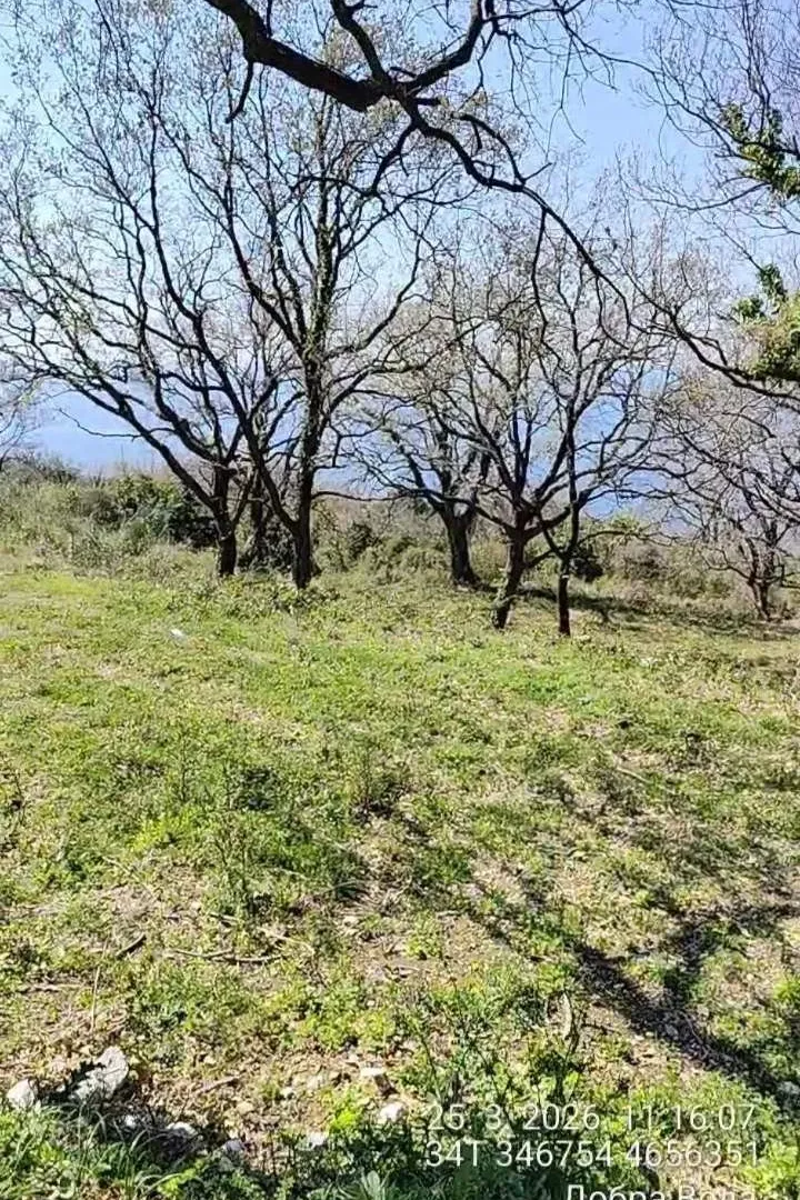 Prodaja, plac, 1227m², Dobre Vode, Bar