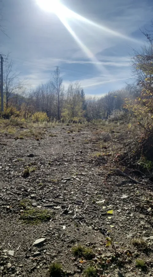 Prodaja, plac, 1000m², Žirci, Kolašin