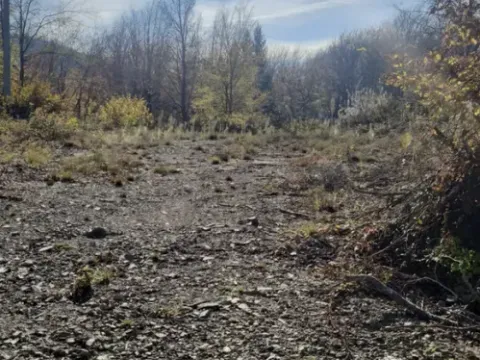 Sale, land lot, 1000m², Žirci, Kolašin - image 5