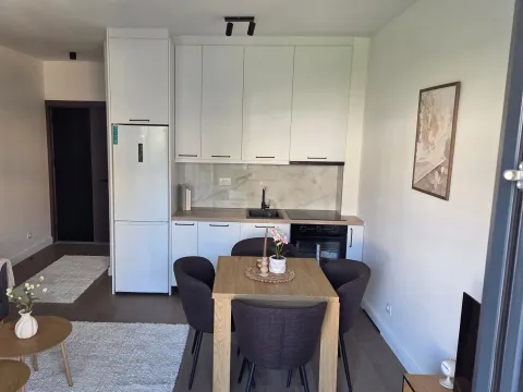 Rent, one bedroom apartment, 42m², Čeluga, Bar - image 3