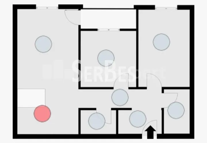 Izdavanje, dvosoban stan, 58m², Novi Sad Sve Podlokacije, Novi Sad