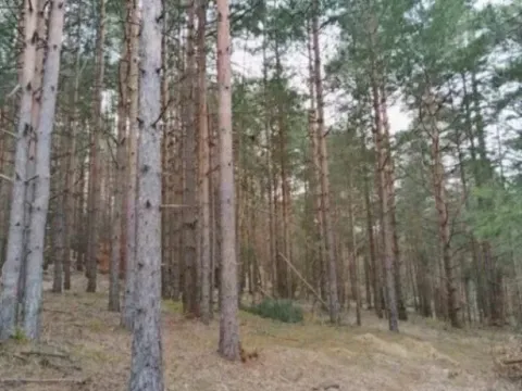 Sale, land lot, 1143m², Zlatibor, Srbija - image 5