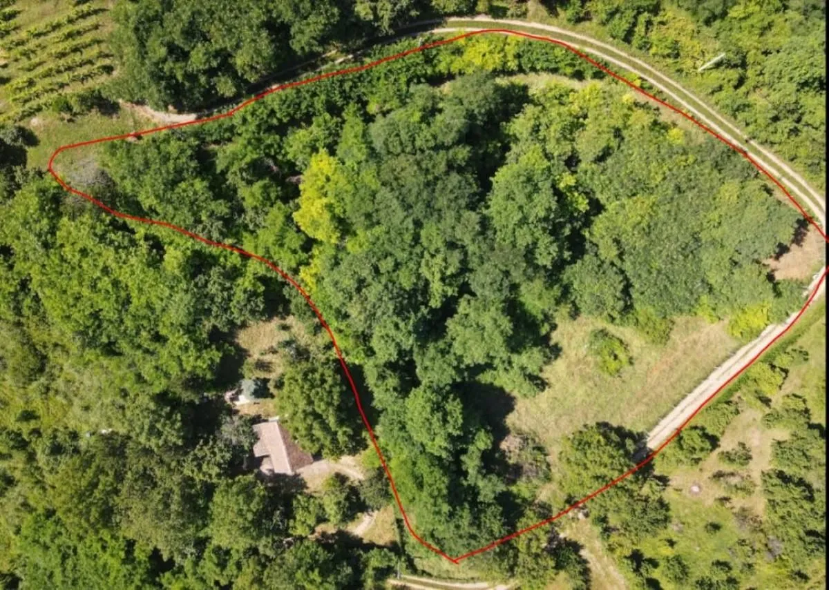 Prodaja, plac, 5000m², Sremska Kamenica, Petrovaradin
