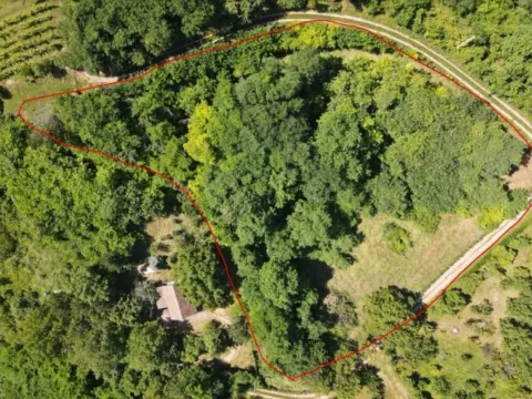 Prodaja, plac, 5000m², Sremska Kamenica, Petrovaradin - image 11