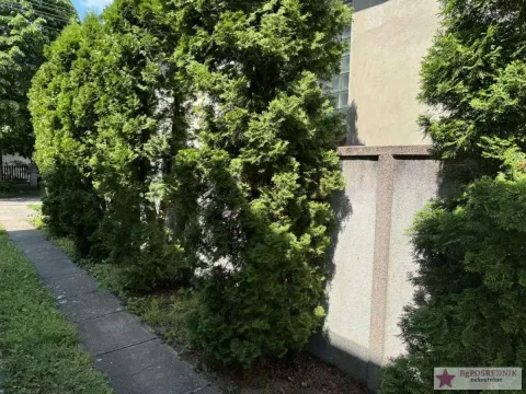 Prodaja, kuća, 200m², Alibunar, Srbija - image 12