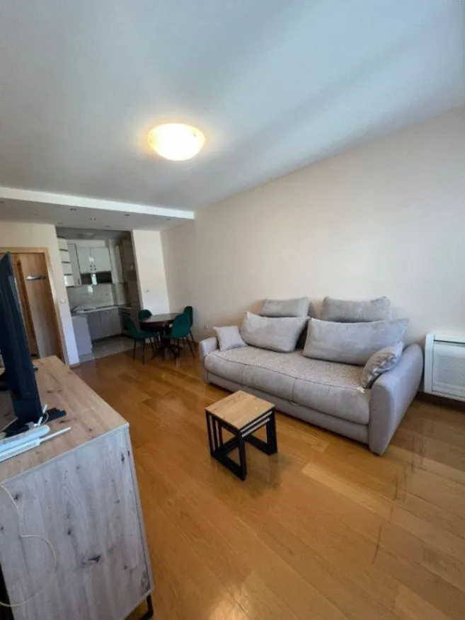 Izdavanje, jednosoban stan, 46m², Preko Morače, Podgorica