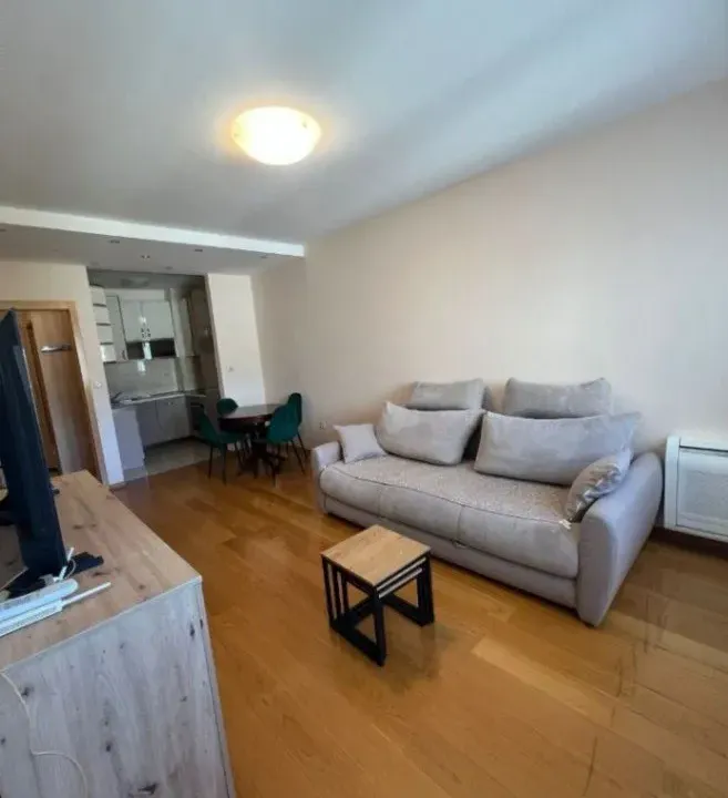 Rent, one bedroom apartment, 46m², Preko Morače, Podgorica