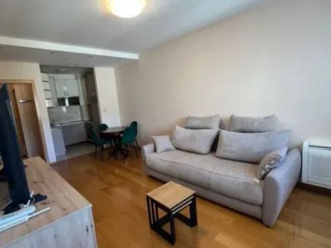 Izdavanje, jednosoban stan, 46m², Preko Morače, Podgorica