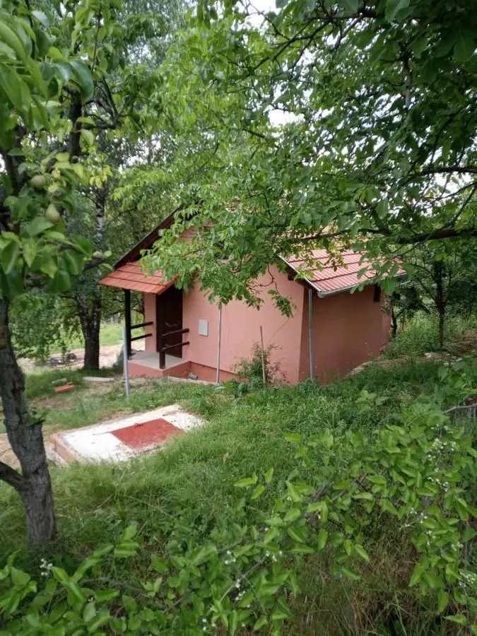 Sale, house, 33m², Beočin, Srbija