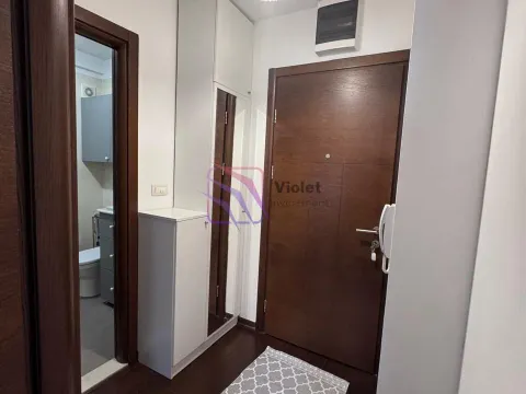 Izdavanje, jednosoban stan, 44m², Gorica C, Podgorica - image 14
