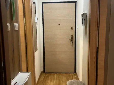 Izdavanje, jednosoban stan, 41m², Velji Vinogradi, Budva - image 13