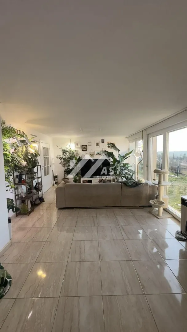 Spacious living room with a sofa, large windows, and numerous houseplants.