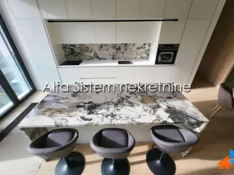 Izdavanje, četvorosoban stan, 213m², Savski Venac, Beograd - image 6