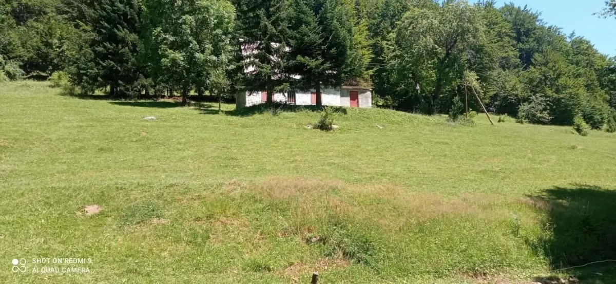 Prodaja, plac, 99100m², Donja Bukovica, Šavnik