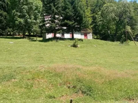 Sale, land lot, 99100m², Donja Bukovica, Šavnik - image 15