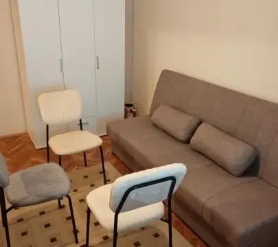 Izdavanje, dvosoban stan, 45m², Bulevar Oslobodjenja, Novi Sad Sve Podlokacije - image 4