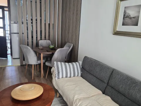 Izdavanje, jednosoban stan, 48m², Centar, Podgorica - image 2