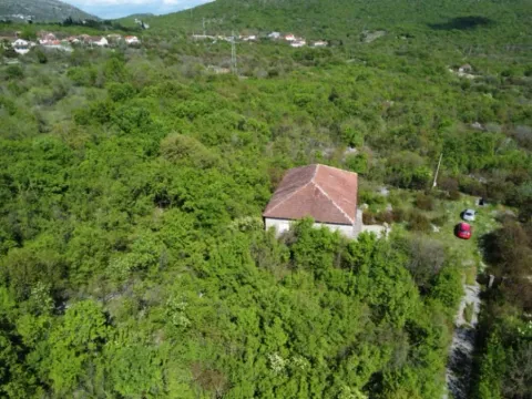 Izdavanje, kuća, 300m², Ostalo, Podgorica - image 8