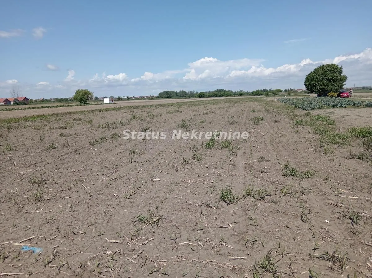 Prodaja, plac, 6917m², Novi Sad, Srbija