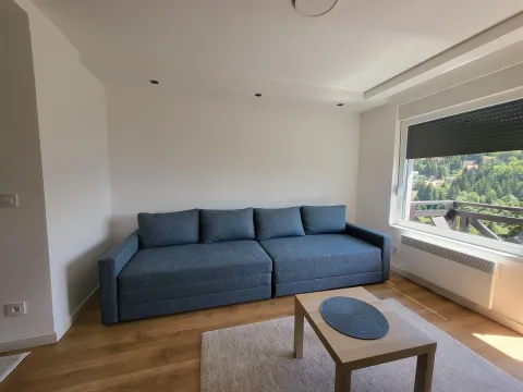Prodaja, garsonjera, 27m², Treska, Kopaonik - image 11