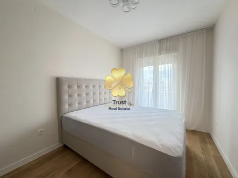 Izdavanje, jednosoban stan, 50m², Central Point, Podgorica - image 9
