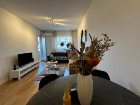 Izdavanje, jednosoban stan, 47m², Central Point, Podgorica - image 2