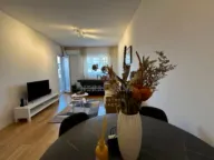 Izdavanje, jednosoban stan, 47m², Central Point, Podgorica - image 2