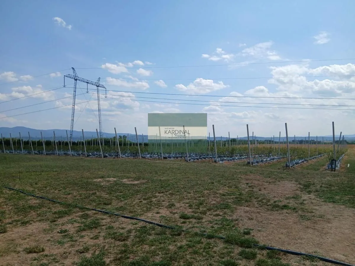 Prodaja, plac, 285100m², Medjureč, Jagodina