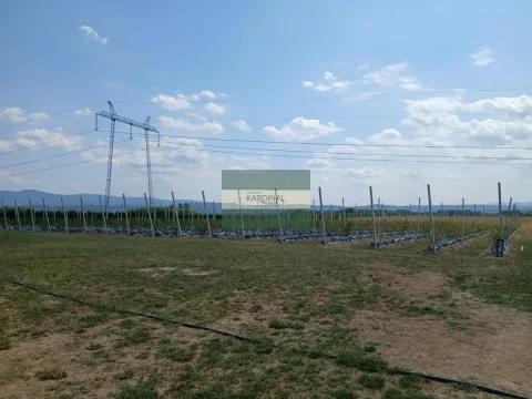 Prodaja, plac, 285100m², Medjureč, Jagodina - image 5
