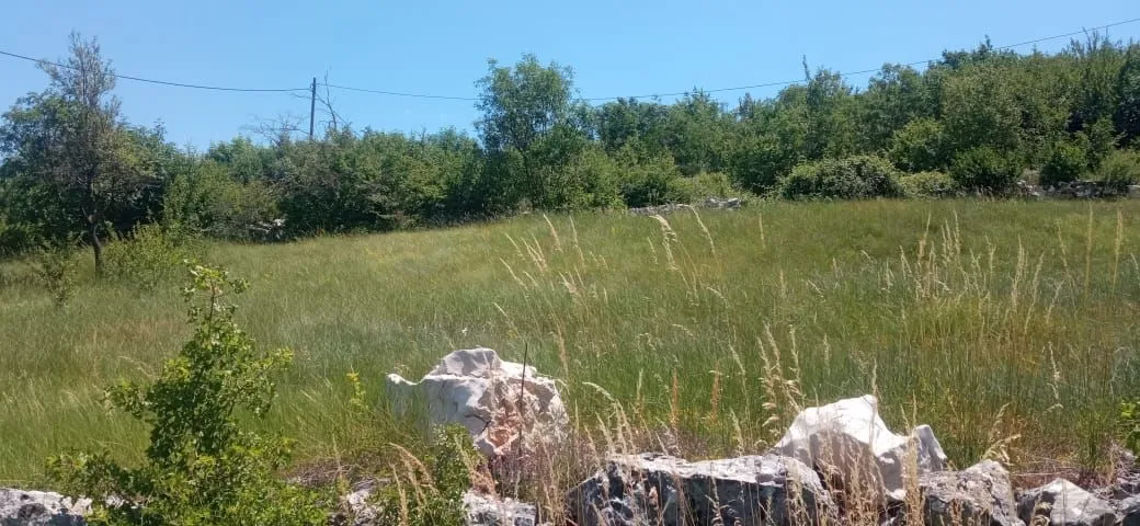 Prodaja, plac, 1500m², Ozrinići, Nikšić
