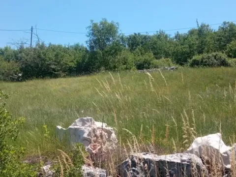 Prodaja, plac, 1500m², Ozrinići, Nikšić - image 17