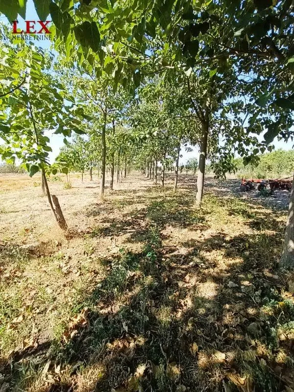 Prodaja, kuća, 78m², Deč, Pećinci
