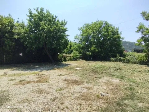 Zemljište in Polje