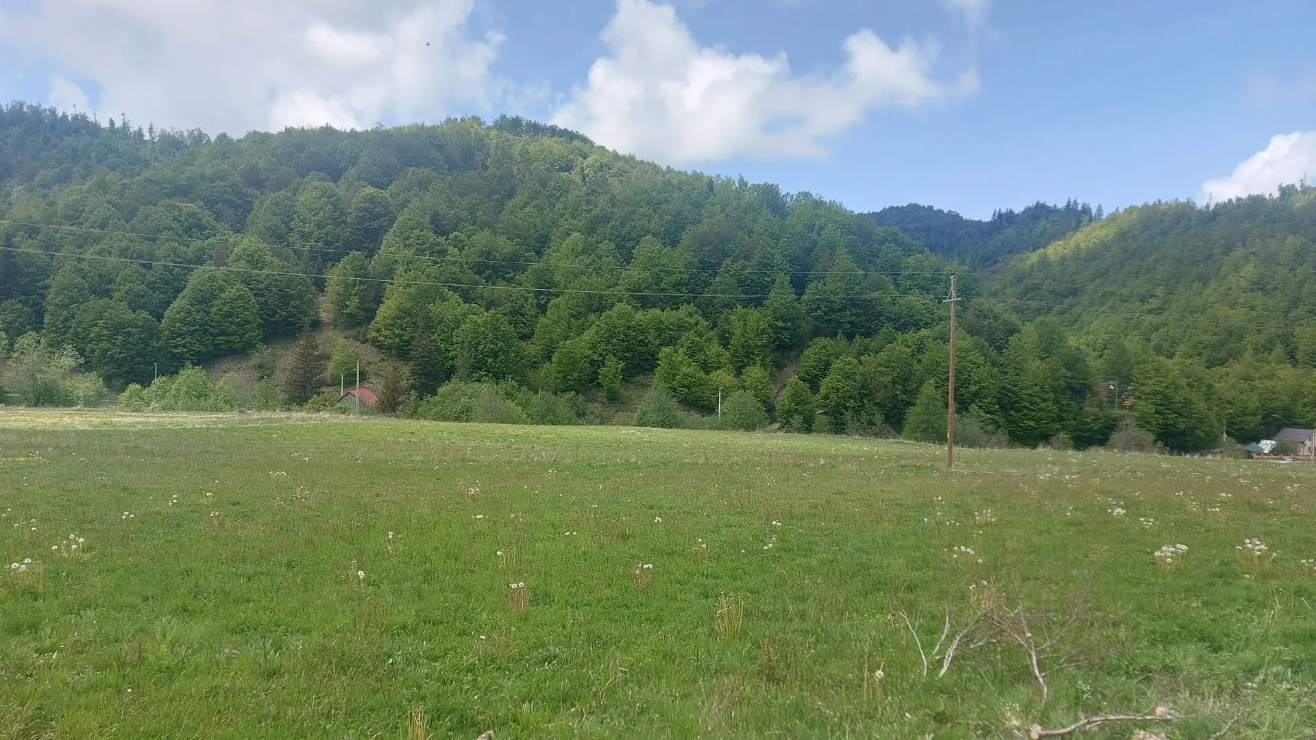 Prodaja, plac, 7000m², Veruša, Podgorica