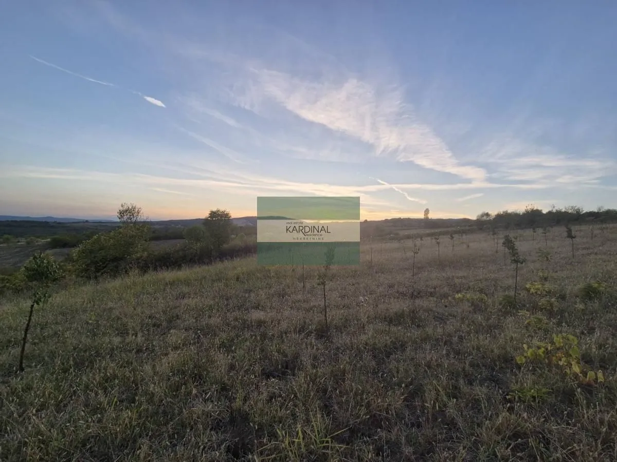 Prodaja, plac, 27920m², Siokovac, Jagodina