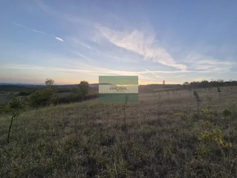 Prodaja, plac, 27920m², Siokovac, Jagodina - image 13