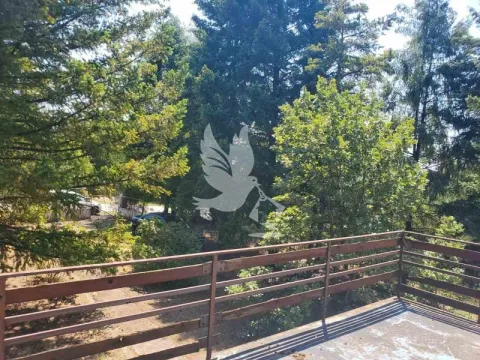 Sale, house, 160m², Koraćica, Mladenovac - image 2