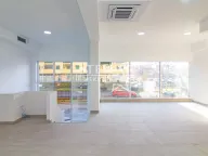 Izdavanje, poslovni prostor, 113m², Stari Aerodrom, Podgorica - image 2