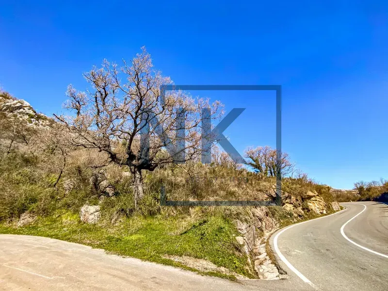 Prodaja, plac, 5914m², Petrovac, Budva