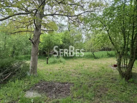 Prodaja, plac, 1048m², Čerević, Beočin - image 15