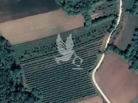 Sale, land lot, 10000m², Mladenovac, Beograd - image 2