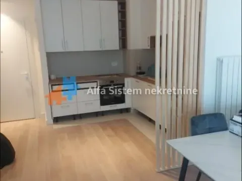 Izdavanje, dvosoban stan, 59m², Savski Venac, Beograd - image 4