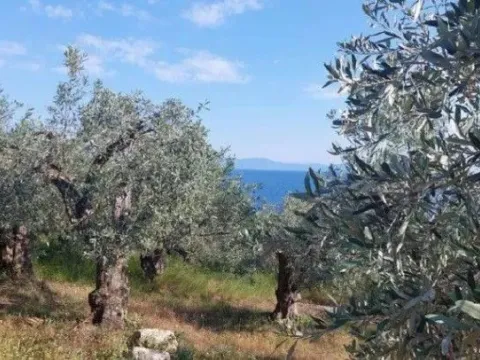 Prodaja, plac, 1750m², Reževići, Budva - image 3