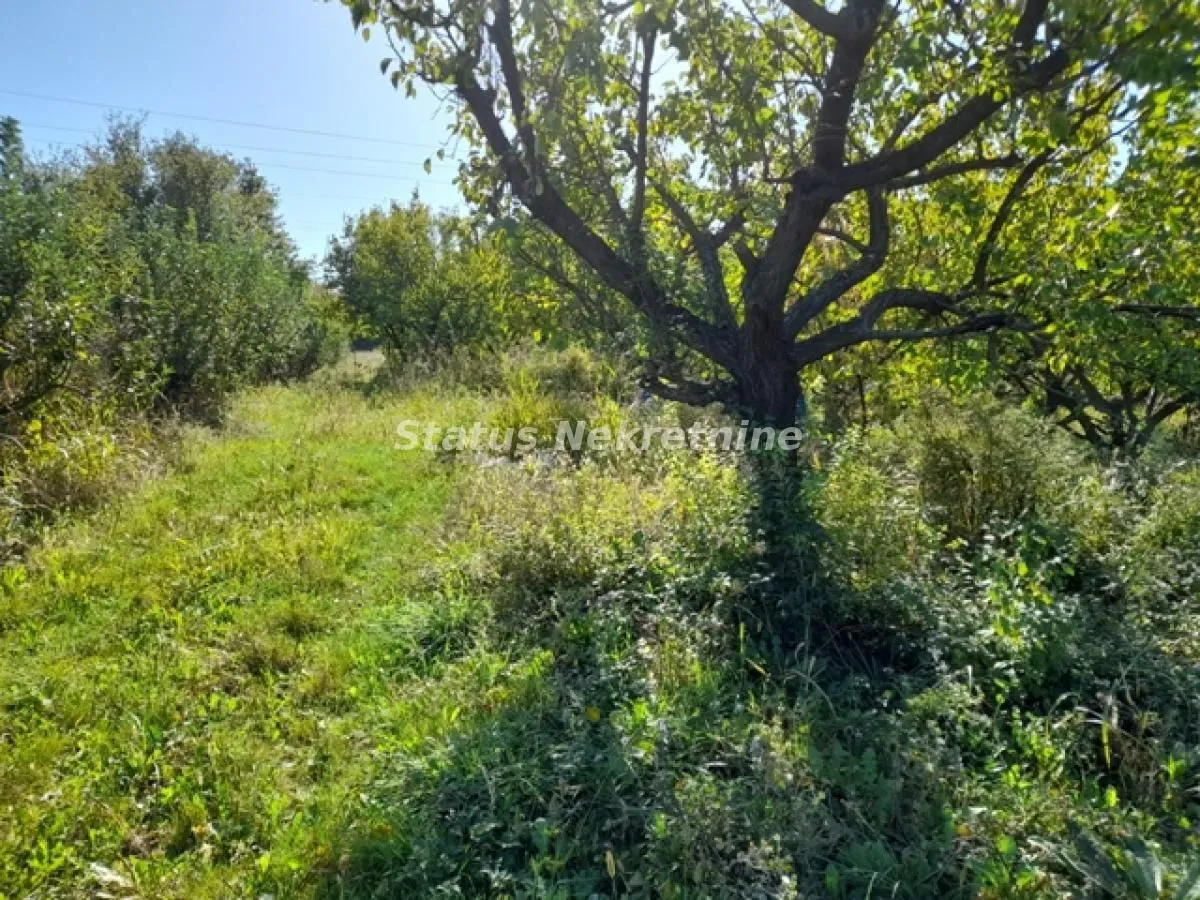 Prodaja, plac, 118m², Ledinci, Petrovaradin