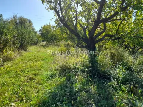 Sale, land lot, 118m², Ledinci, Petrovaradin - image 2