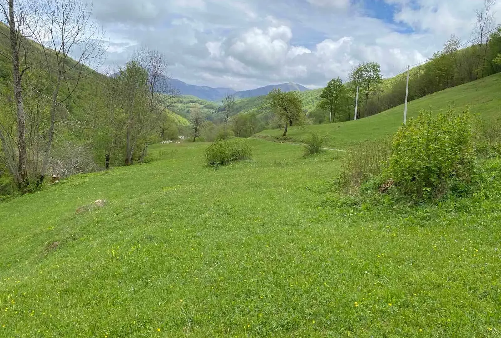 Prodaja, plac, 5000m², Mojkovac, Crna Gora