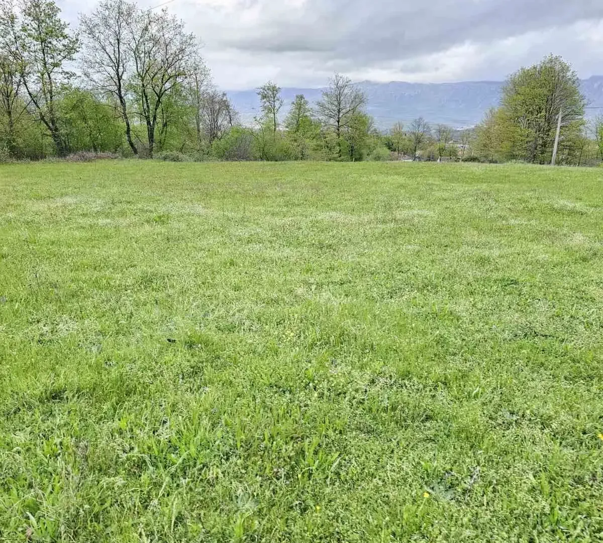 Prodaja, plac, 2993m², Danilovgrad, Crna Gora