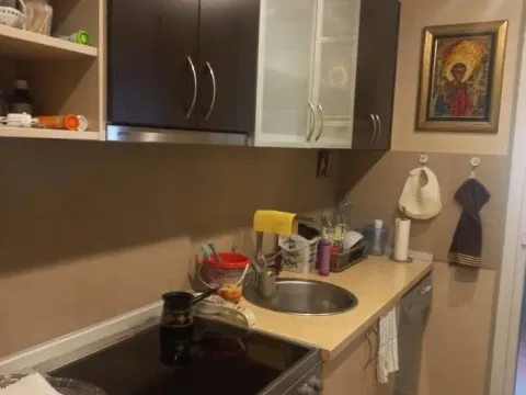 Prodaja, trosoban stan, 75m², Botanička Bašta, Palilula Sve Podlokacije - image 9