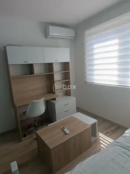Rent, three bedroom apartment, 76m², Pantelej, Niš - image 9